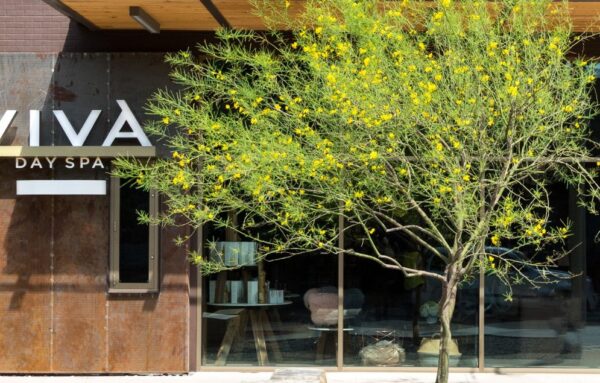 Jane Ko’s Favorite Treatments at Viva
